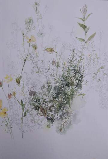 Aquarel