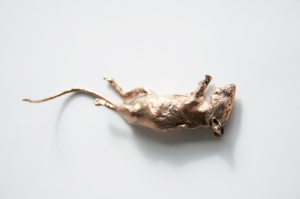 Babette Degraeve
